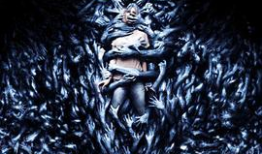 欧美高清视频在线观看,畅享视听盛宴的完美指南